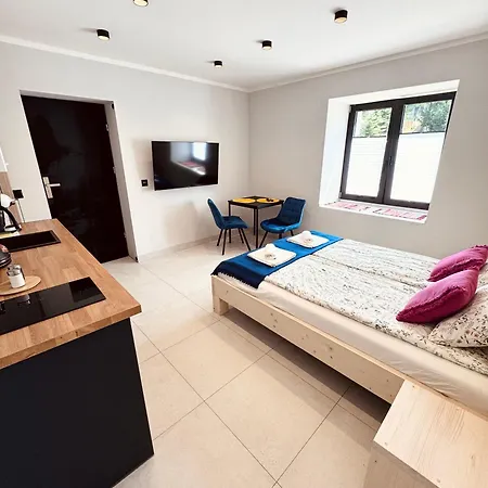 Dla 2 Osob Tatra-dream זקופאנה